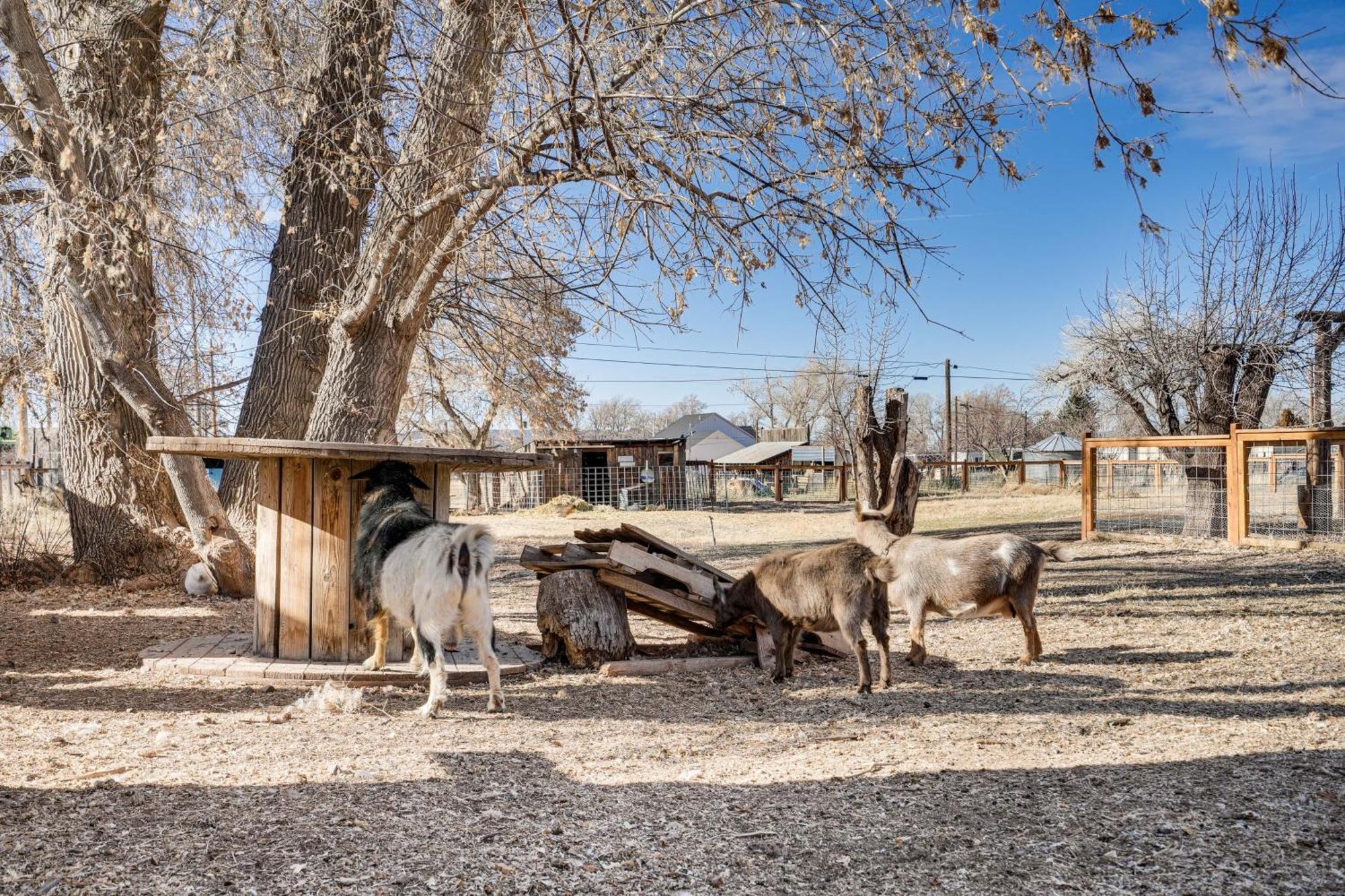 Cozy Parowan Studio 12 Mi To Brian Head Resort! Exterior photo